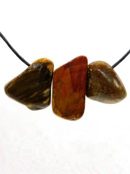 Versteinertes Holz, gebohrt
